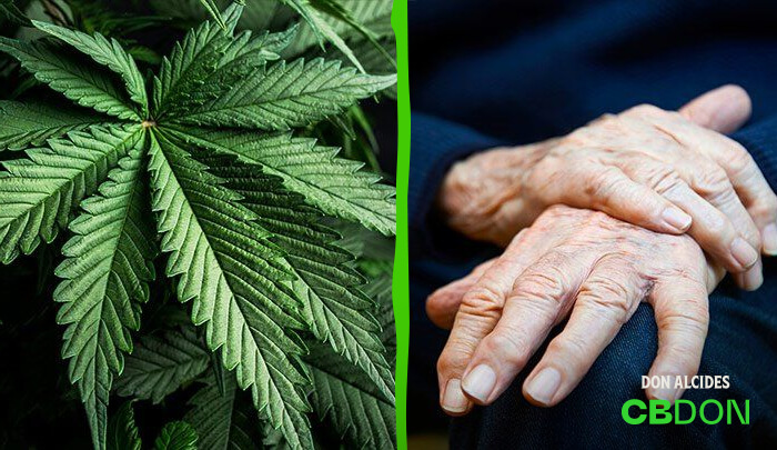 Cannabis e doença de Parkinson