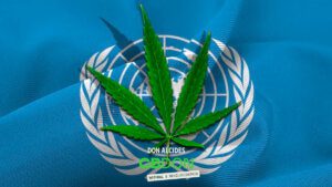 ONU Remove Cannabis da Lista de Drogas Mais Perigosas