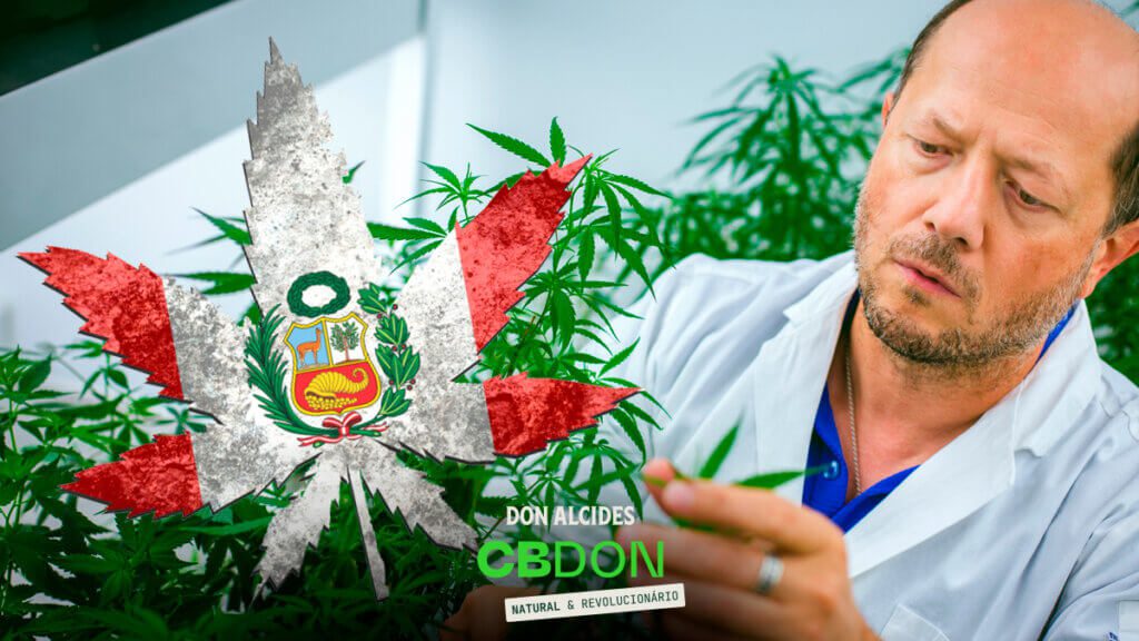 PERU TEM NOVAS REGRAS PARA O USO MEDICINAL DA CANNABIS