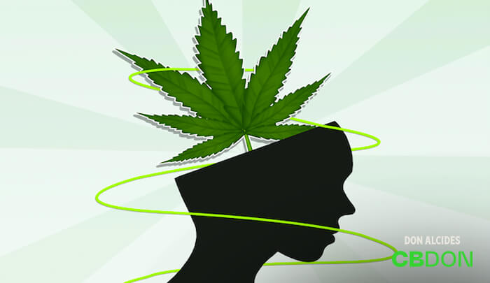 fatores-a-serem-considerados-no-uso-da-cannabis